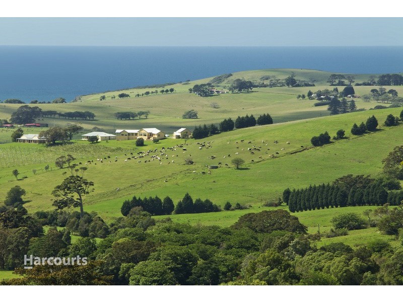274 Willow Vale Road, Gerringong NSW 2534