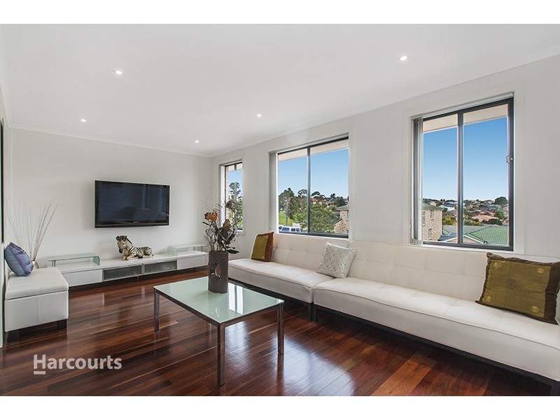 17 Wallis Close, Flinders NSW 2529