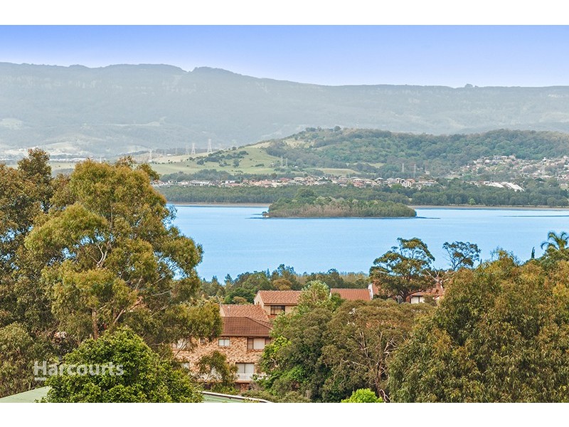 5 Cormorant Place, Berkeley NSW 2506