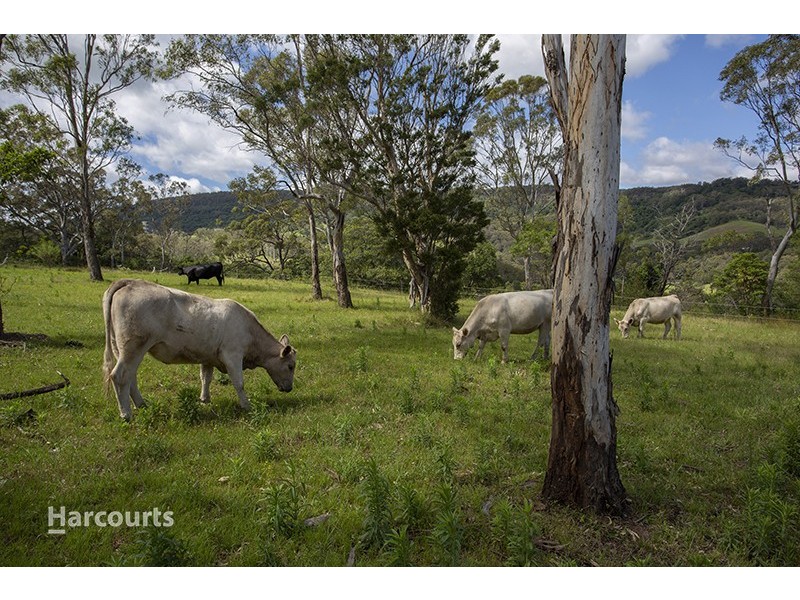 46 Upland Chase, Albion Park NSW 2527