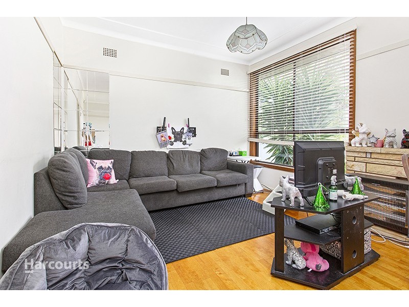 20 Massey Street, Berkeley NSW 2506