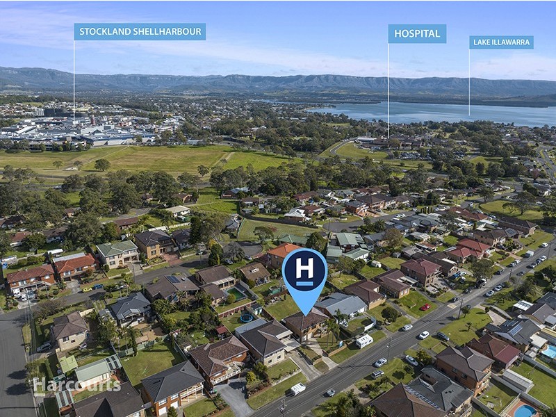 22 Denison Avenue, Barrack Heights NSW 2528