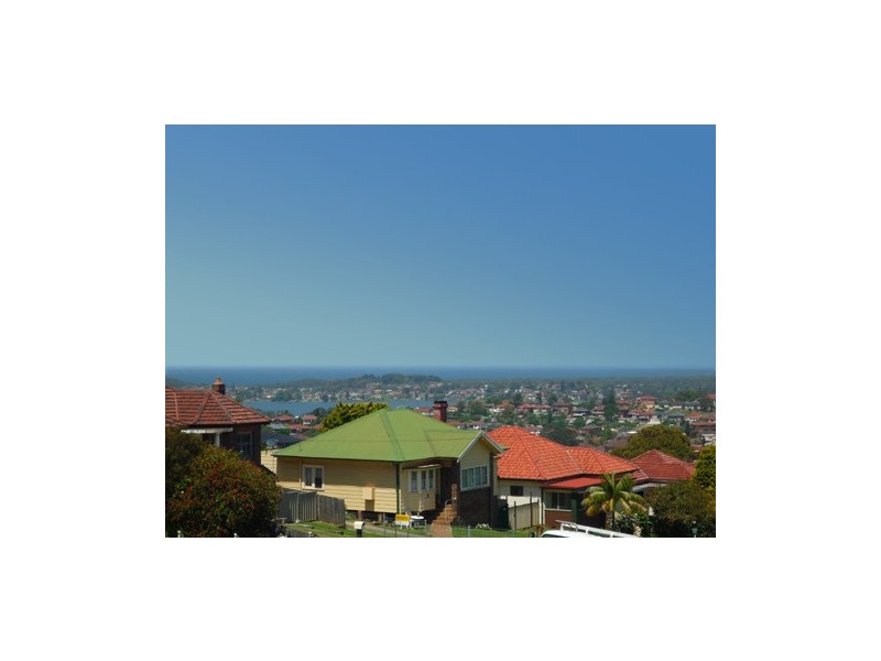 Lake Heights NSW 2502