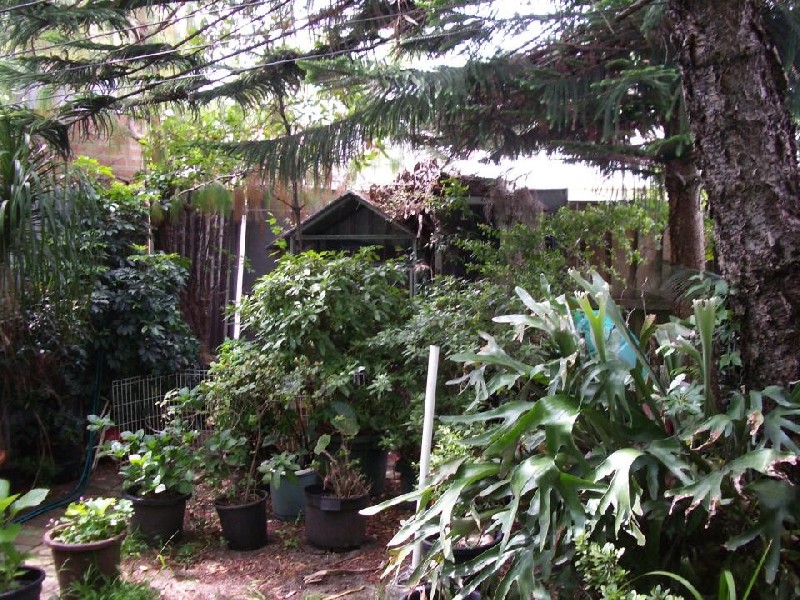 108 Rochford Street, Erskineville NSW 2043