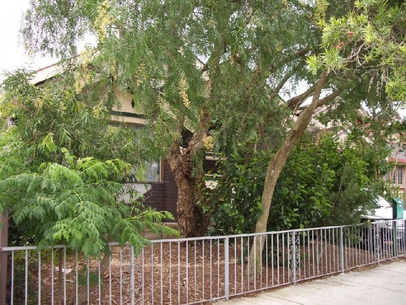 14 Hill Street, Marrickville NSW 2204