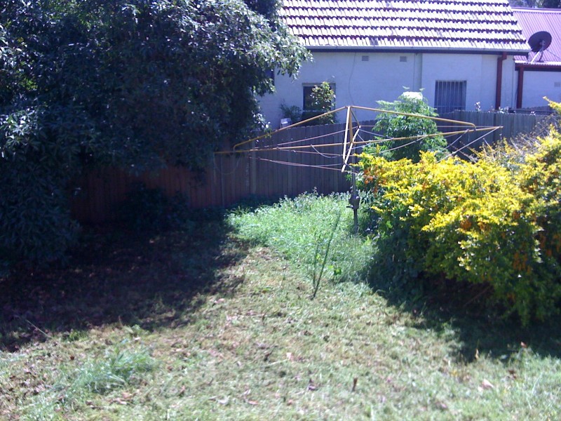 Petersham NSW 2049