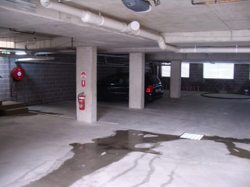 1/225 Queen Street, Ashfield NSW 2131