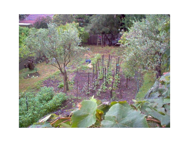 29 GARDENER AVENUE, Ryde NSW 2112