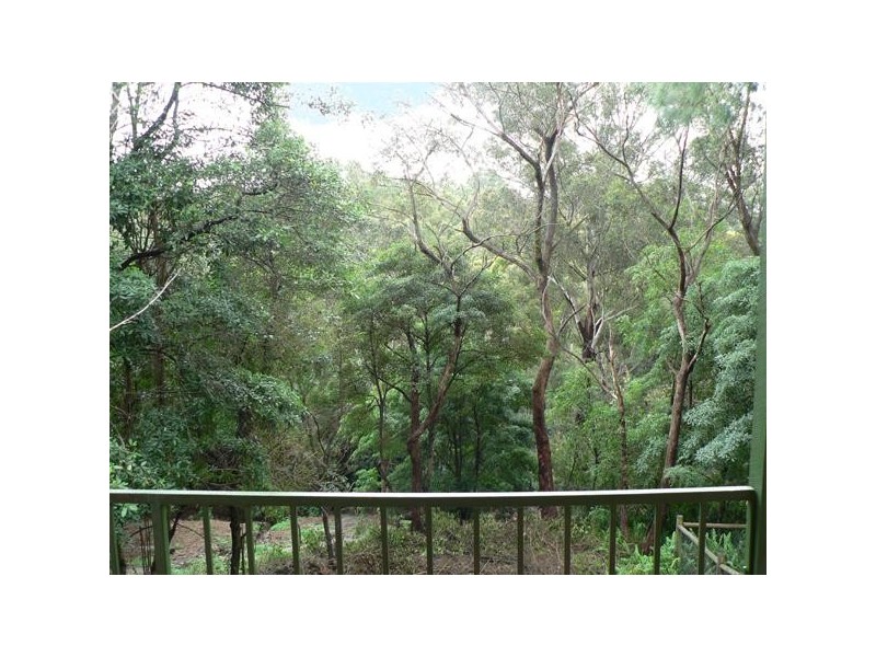 51 Melba Drive, East Ryde NSW 2113
