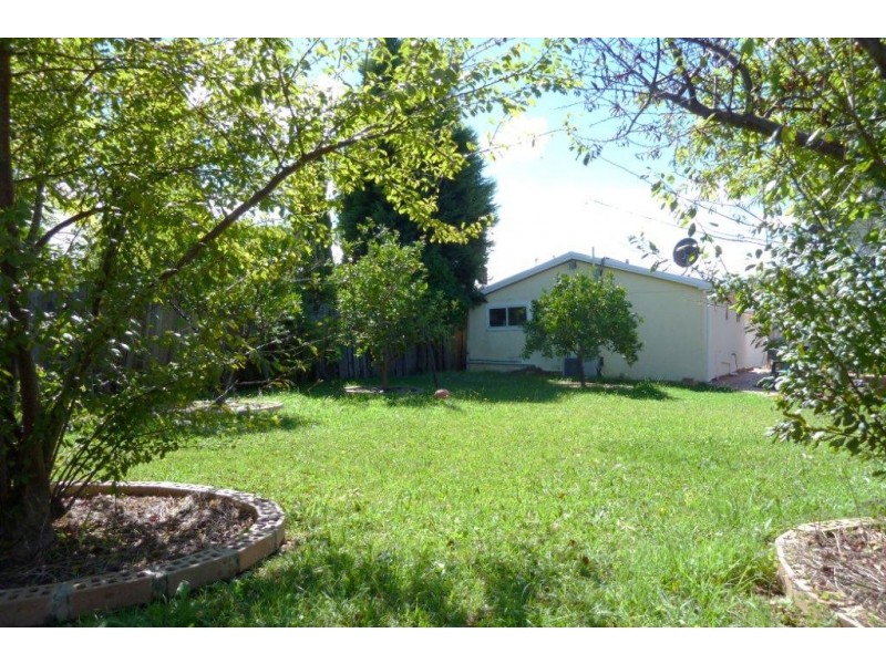 1 Haig St, Bexley NSW 2207