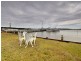 Oyster Cove NSW 2318