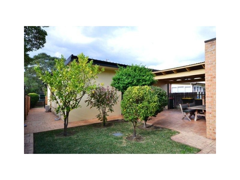 37 Albert St, Bexley NSW 2207