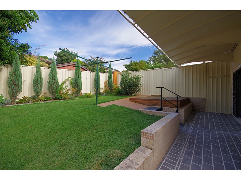 31 Basil Road, Bexley NSW 2207