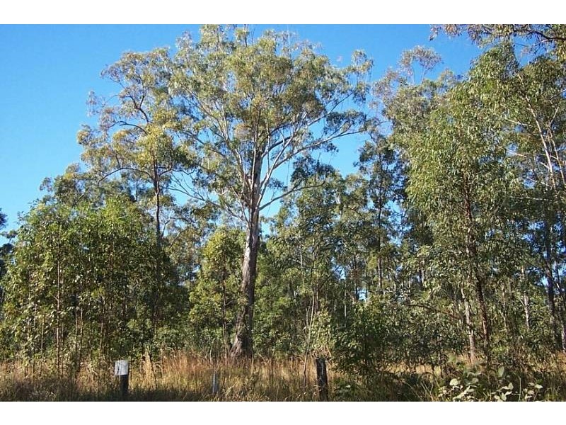 Collombatti NSW 2440