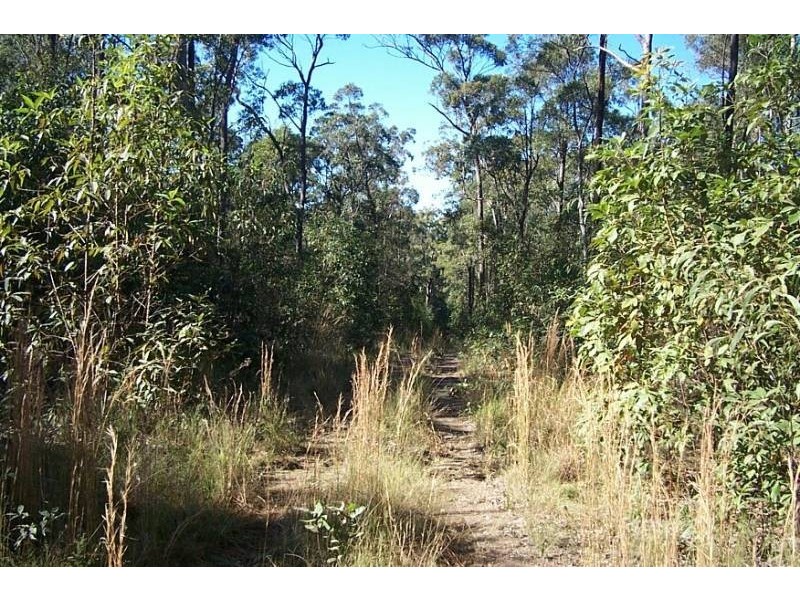 Collombatti NSW 2440