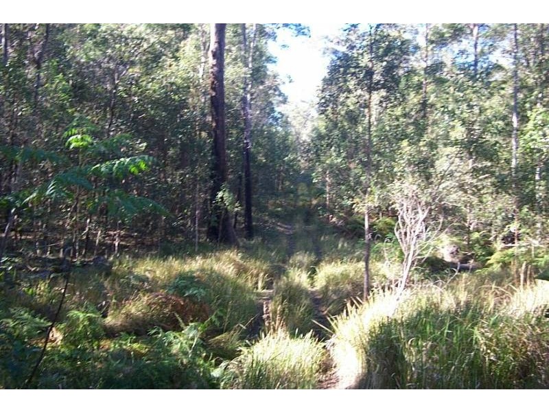 Collombatti NSW 2440