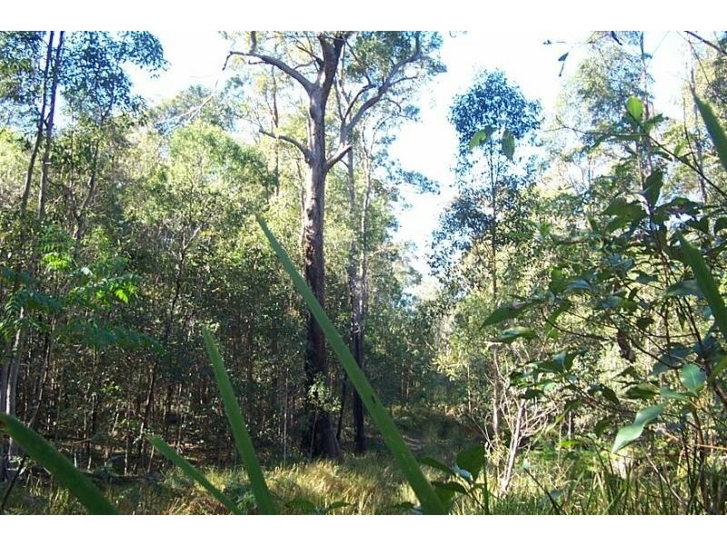 Collombatti NSW 2440