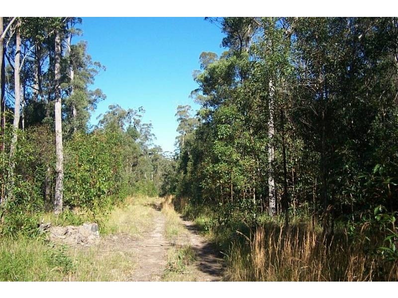 Collombatti NSW 2440