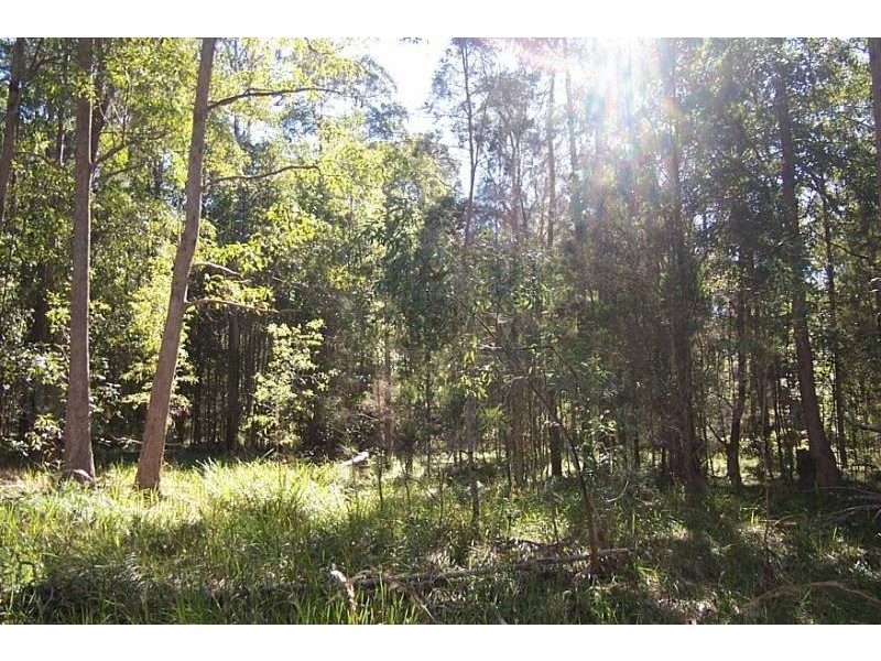 Collombatti NSW 2440