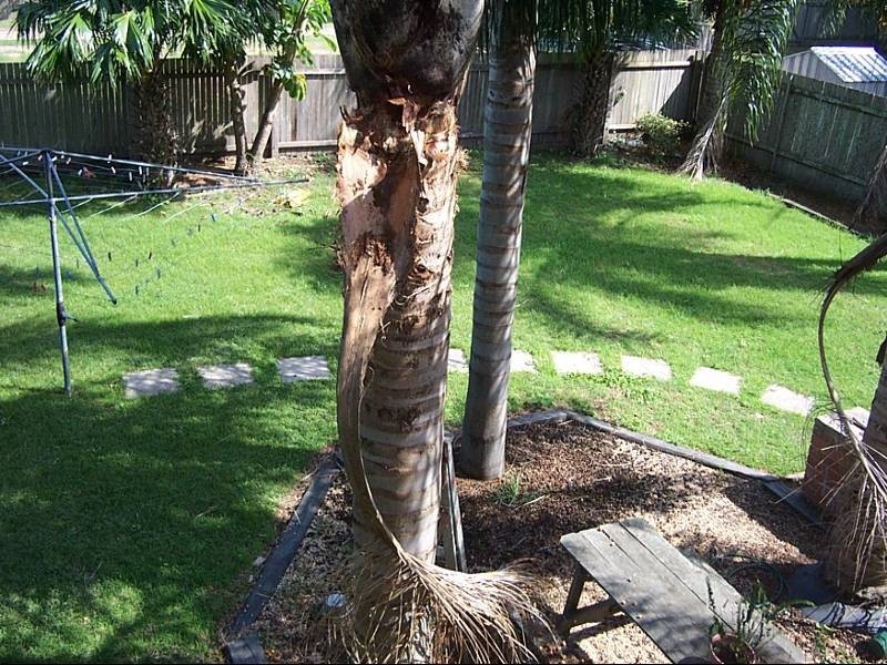 32A Barnard, Gladstone NSW 2440