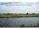 Lot/7 Barnard, Gladstone NSW 2440