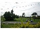 Gladstone NSW 2440