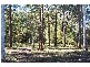 Verges Creek NSW 2440