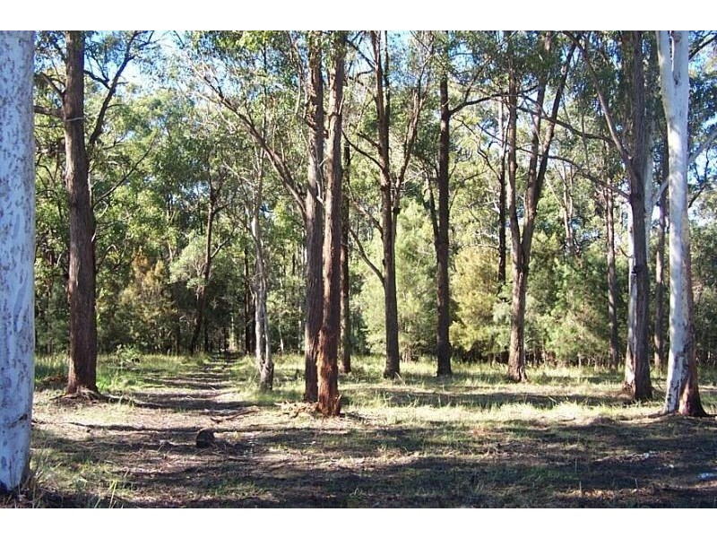 Verges Creek NSW 2440