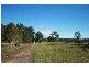 Verges Creek NSW 2440