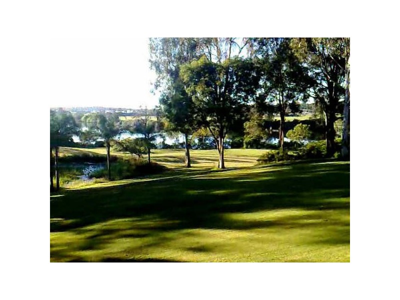 43 GhostGum, Upper Coomera QLD 4209