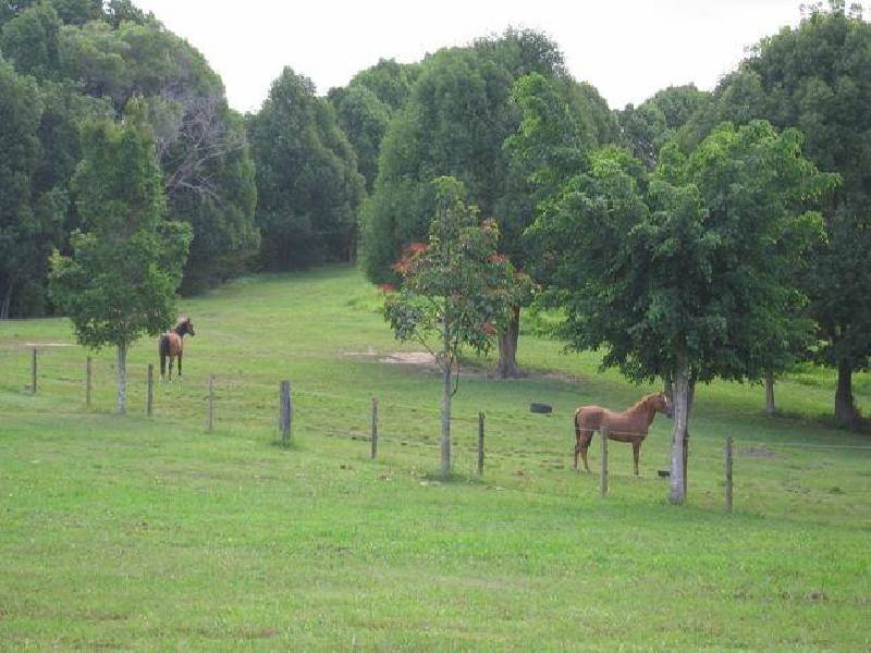 934 Currumbin Creek Road, Currumbin Valley QLD 4223