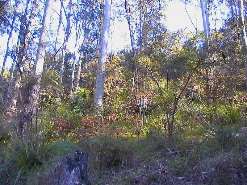 1 Douglas Estate, Church Point NSW 2105