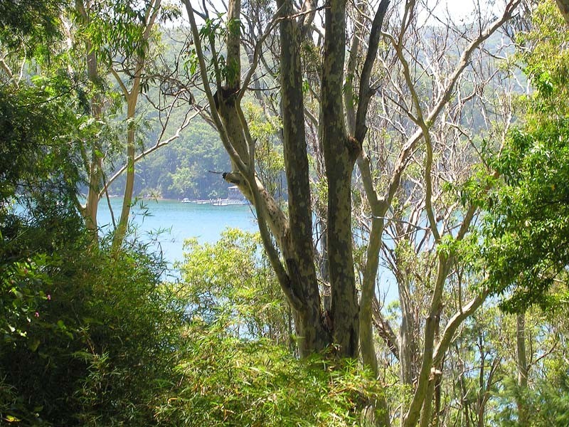 42 Robertson Rd, Scotland Island NSW 2105