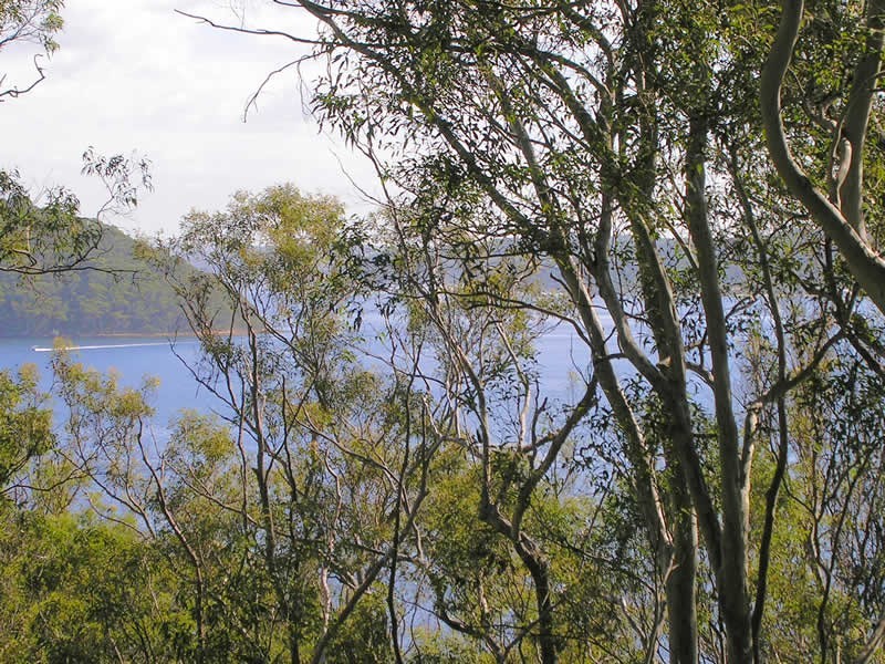 21 Thompson St, Scotland Island NSW 2105