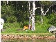 75 Florence Terrace, Scotland Island NSW 2105