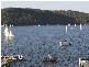Florence Terrace, Scotland Island NSW 2105