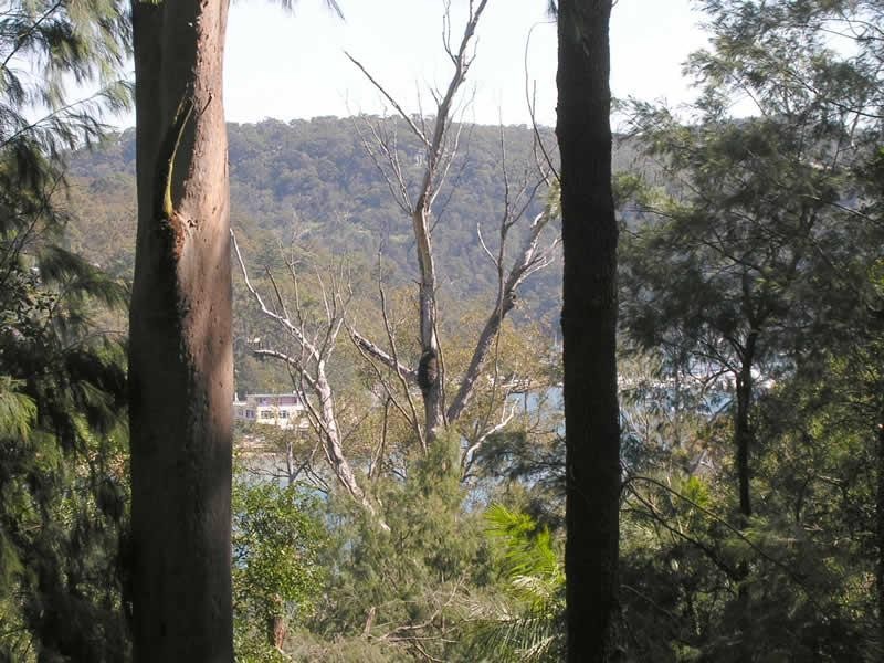 51 Thompson St, Scotland Island NSW 2105