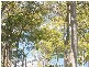 12 Richard Rd, Scotland Island NSW 2105