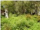 18 Robertson Rd, Scotland Island NSW 2105