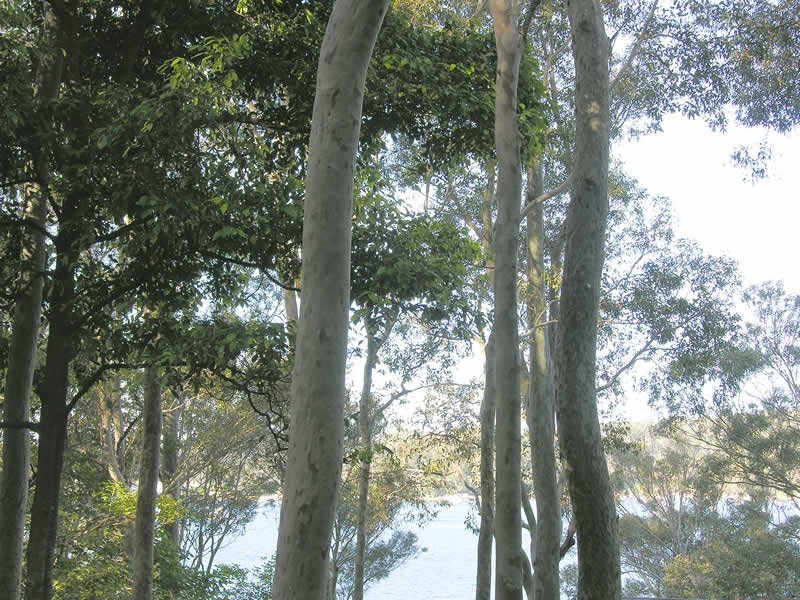 27 Thompson St, Scotland Island NSW 2105