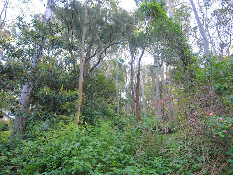 27 Thompson St, Scotland Island NSW 2105