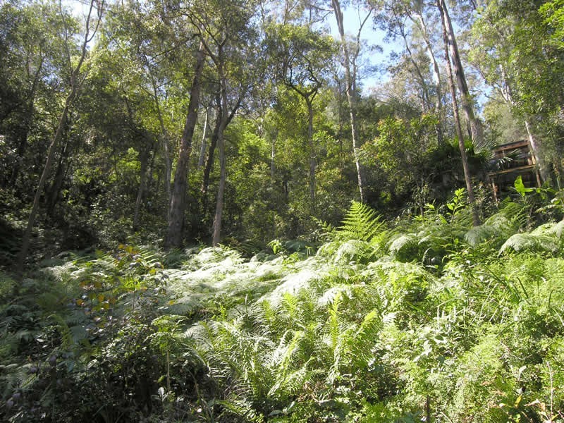 52 Thompson St, Scotland Island NSW 2105