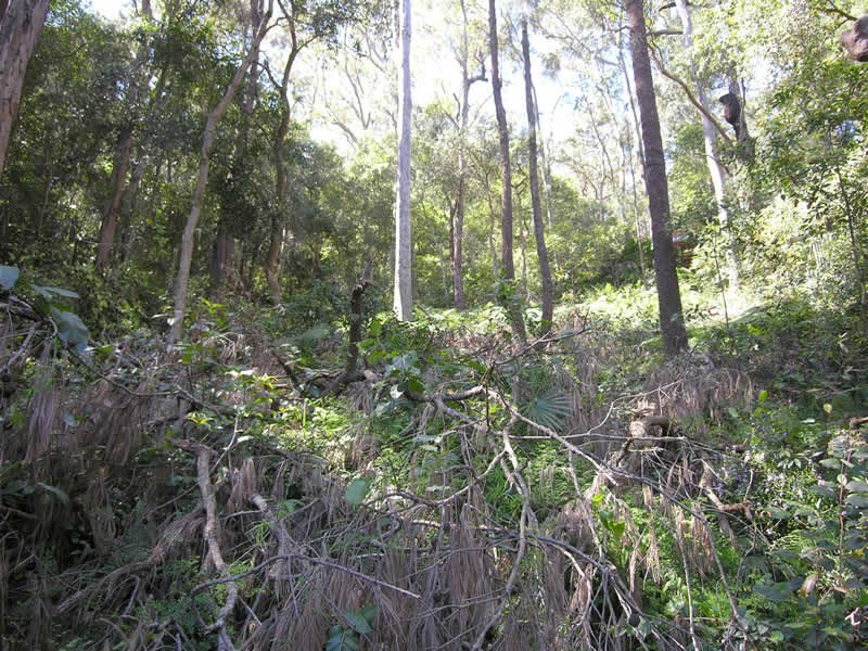 52 Thompson St, Scotland Island NSW 2105