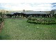 Dungog NSW 2420