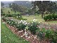 Dungog NSW 2420
