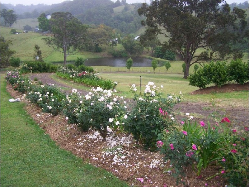 Dungog NSW 2420