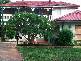 49 St George Crescent, Sandy Point NSW 2172