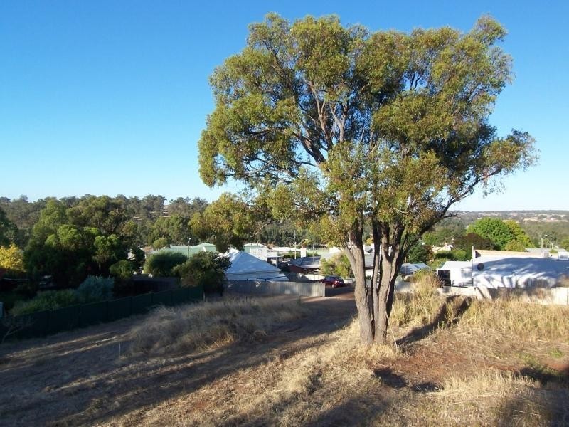 16 Inglis Street, Boyup Brook WA 6244