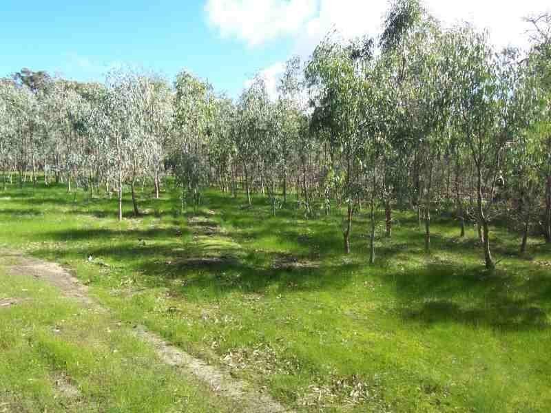 228 Ridgeview Avenue, Boyup Brook WA 6244