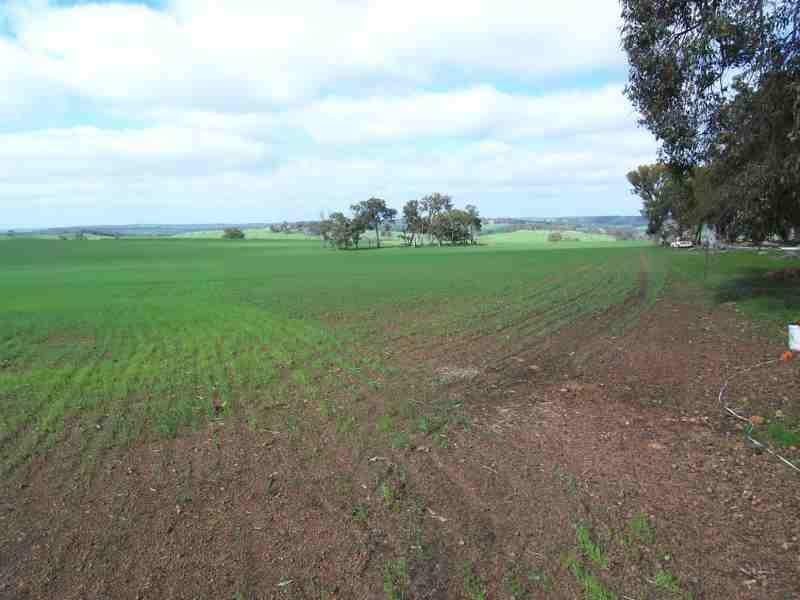 2536 Maltrup Road, Boyup Brook WA 6244